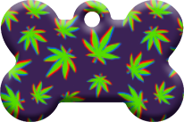 Hawai_33